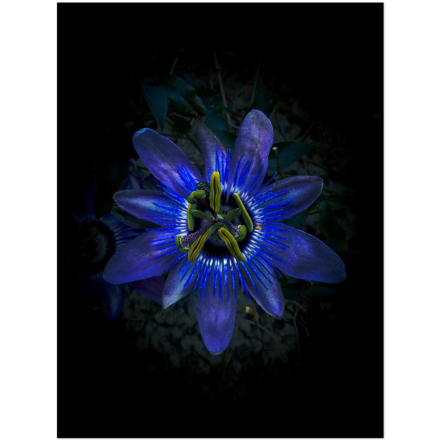 59eb768d-d7fa-428a-a551-0e9bb523850c