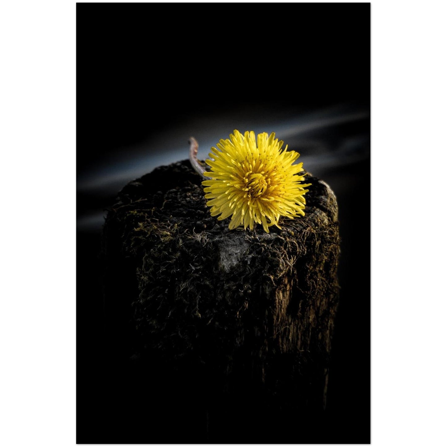 5a98a9e6-c056-4fdb-977c-8cfb85b145df