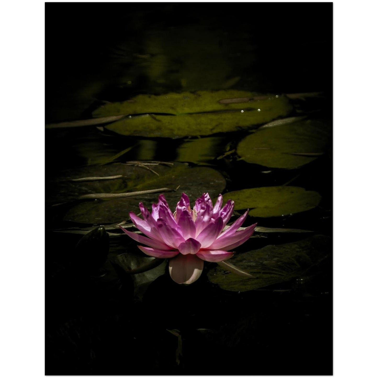 5aa047f8-6859-4876-b93b-21f6675a1348