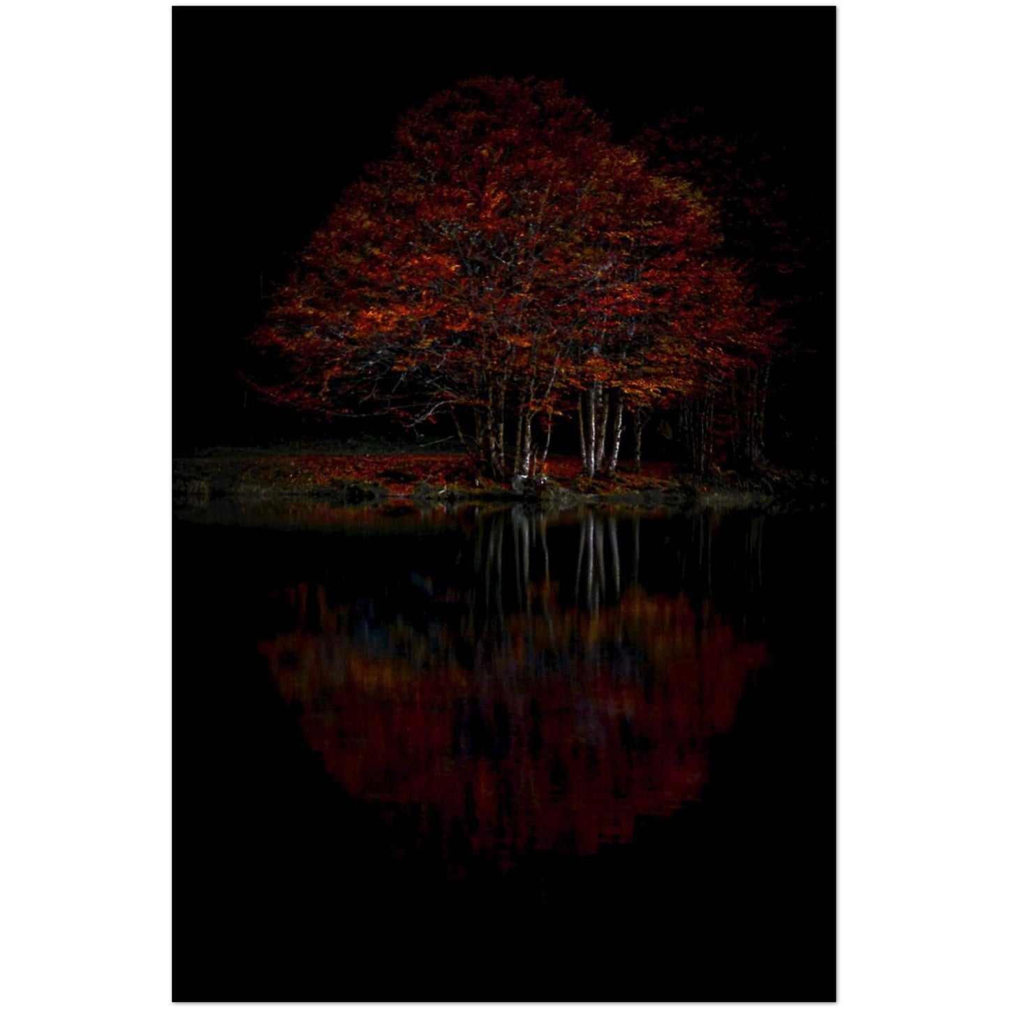 5b643ddb-ebf0-4965-81bf-3c66e6dbf1b3