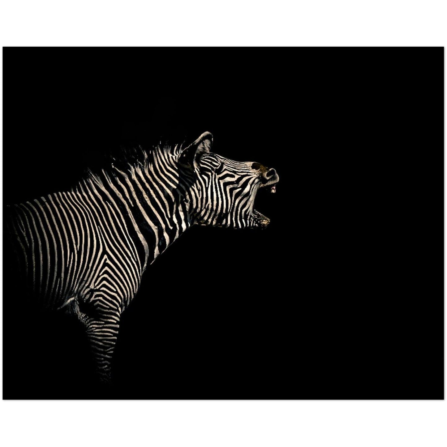 5bb3139c-75f2-45e0-ba8c-e3e0a1ab21c0