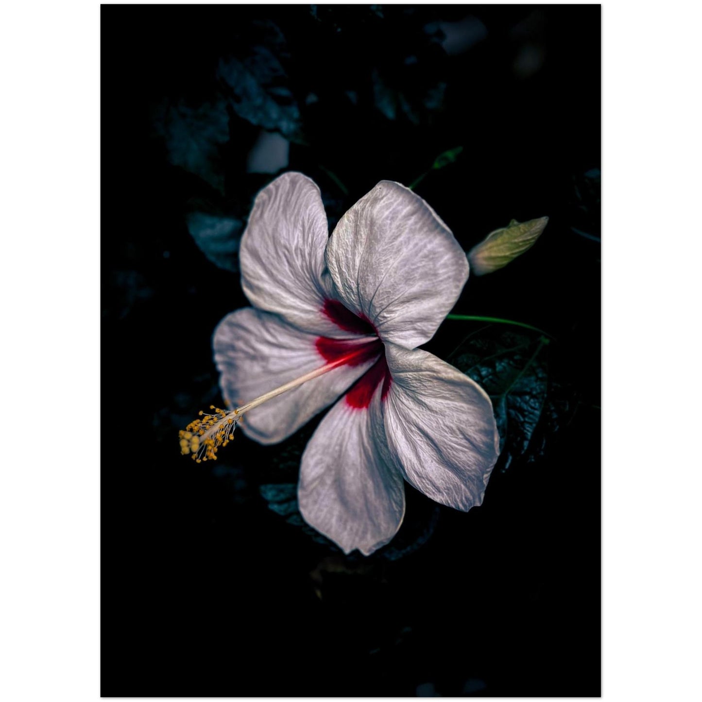 5c19cd81-1b77-4064-a8ec-3e4ca1841c16