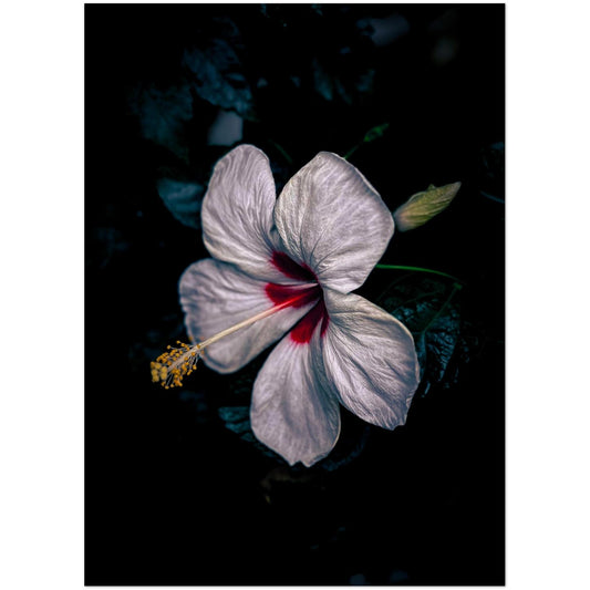 5c19cd81-1b77-4064-a8ec-3e4ca1841c16