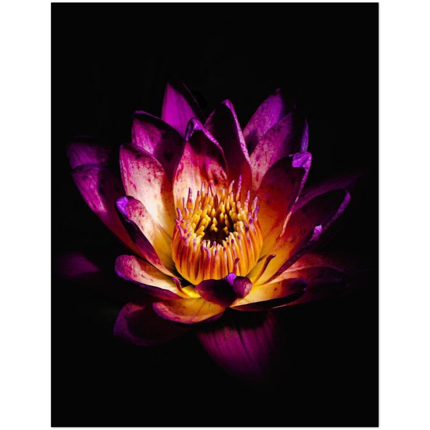 5c50c274-999e-4cef-98f2-c1e83ed1d811