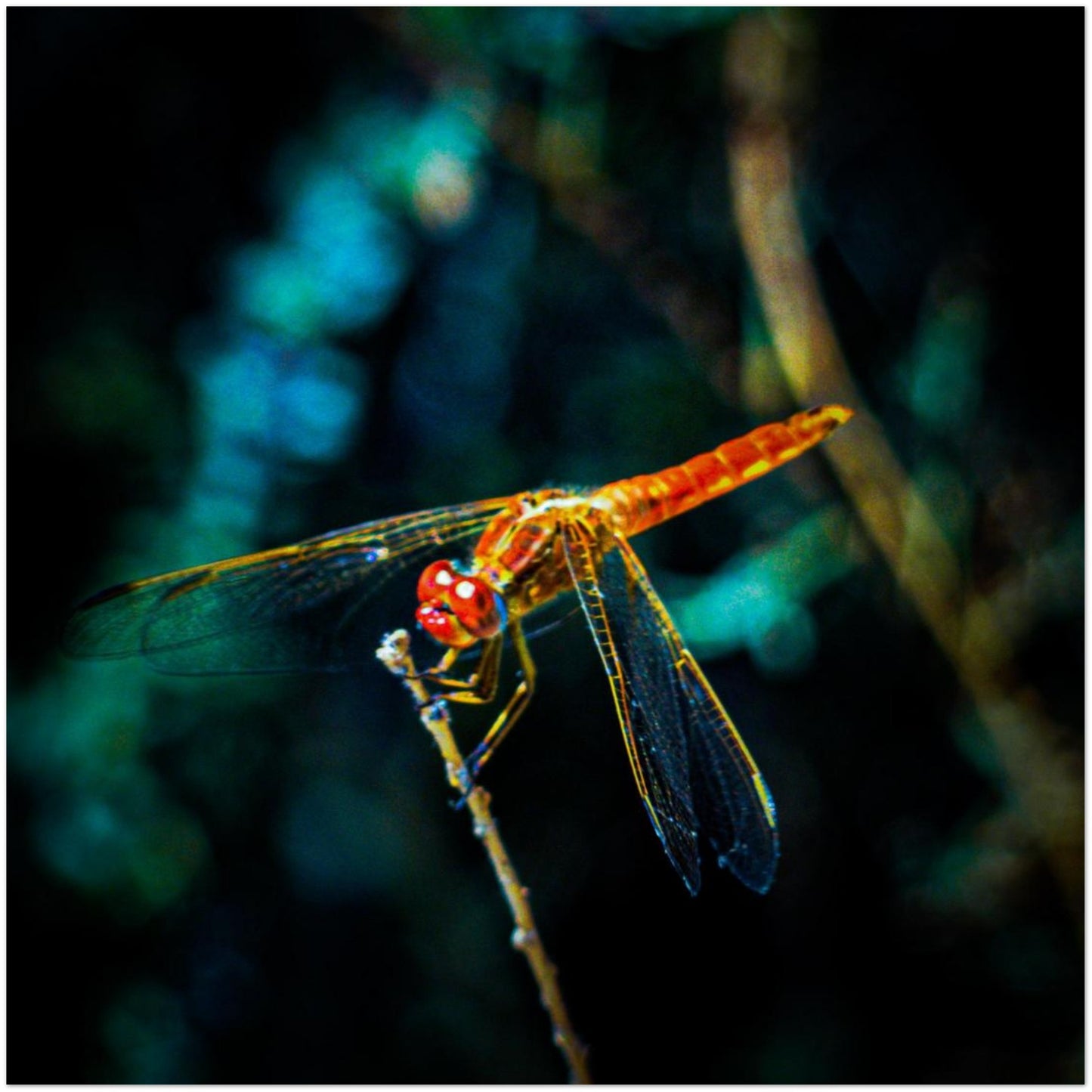 5d21af6f-4cb4-447e-8ad4-e17ffc4cbc3a