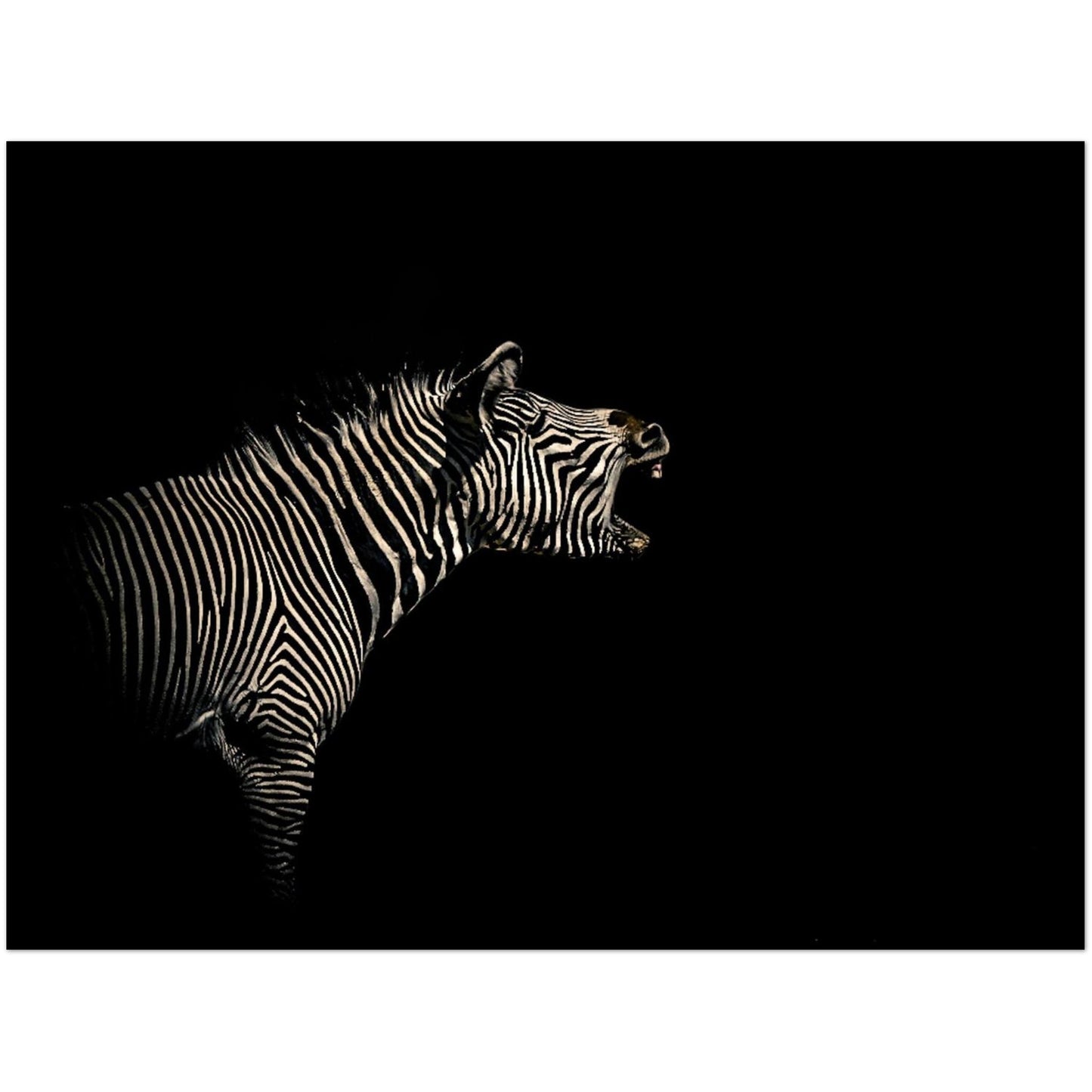 5d2f1a3f-dc4e-4875-80c7-2c4484de47d7