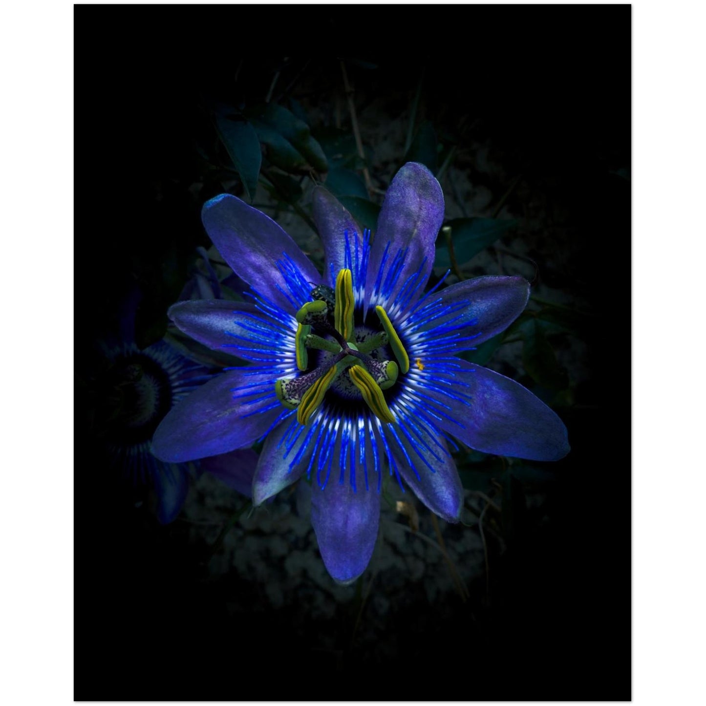 5d850b01-d2e1-4c3a-9be1-55ac0a3d1769