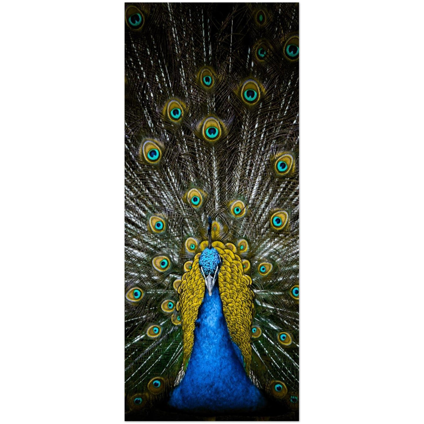 5e63b4e5-5128-418e-b8af-d3d5c953b747