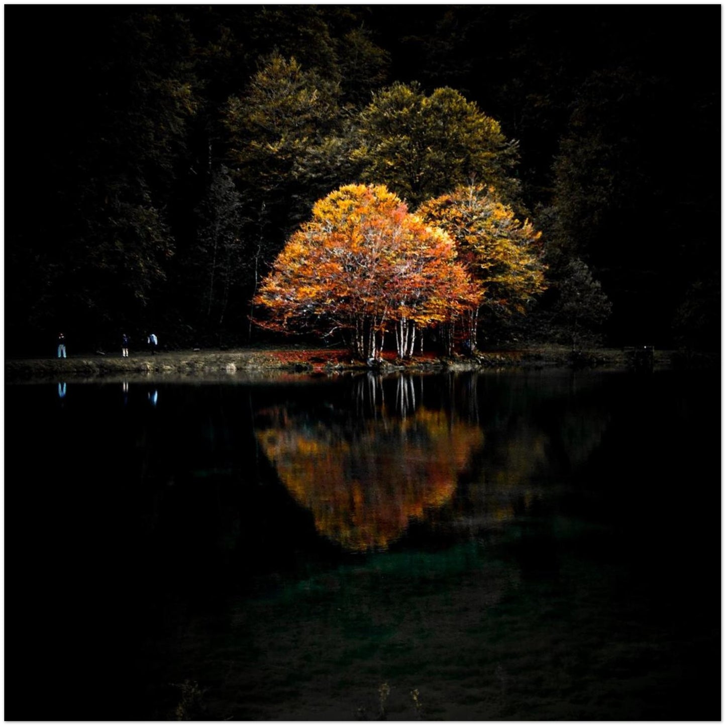 5f299d2d-980c-4099-b3b3-5963d9c1270b