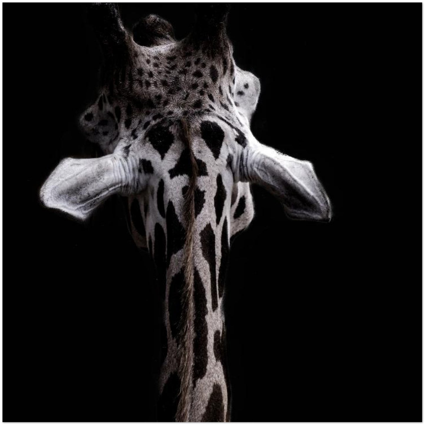 5f5b660d-65dc-440a-bf00-8b9259c2adcc