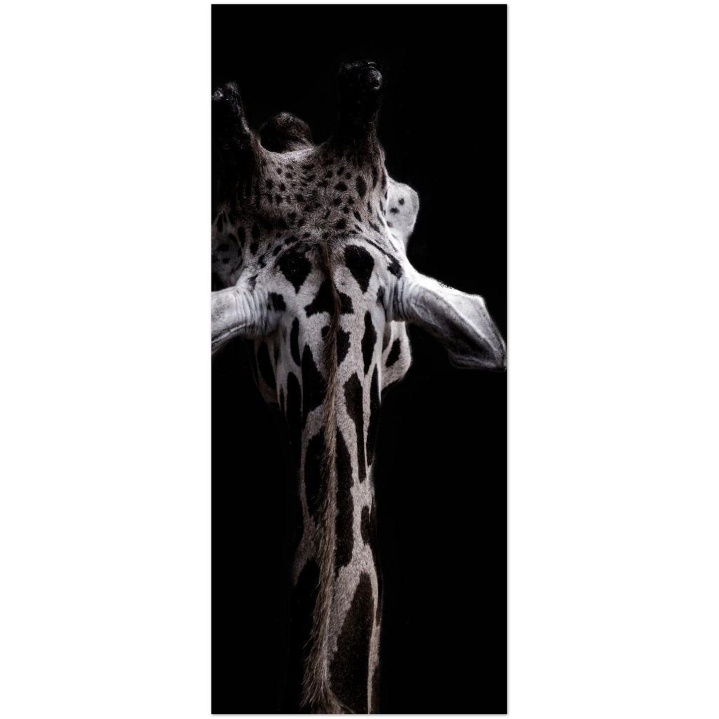 6014e13c-2415-4025-a9c2-b09d7b517183