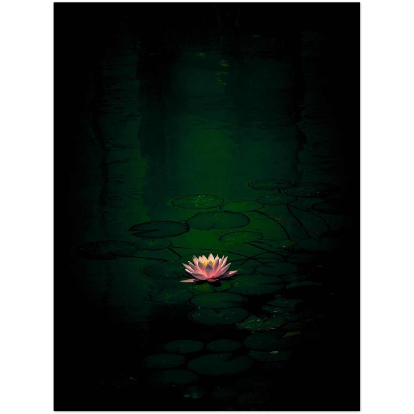 60930738-262a-47fe-987d-768797ed61f6