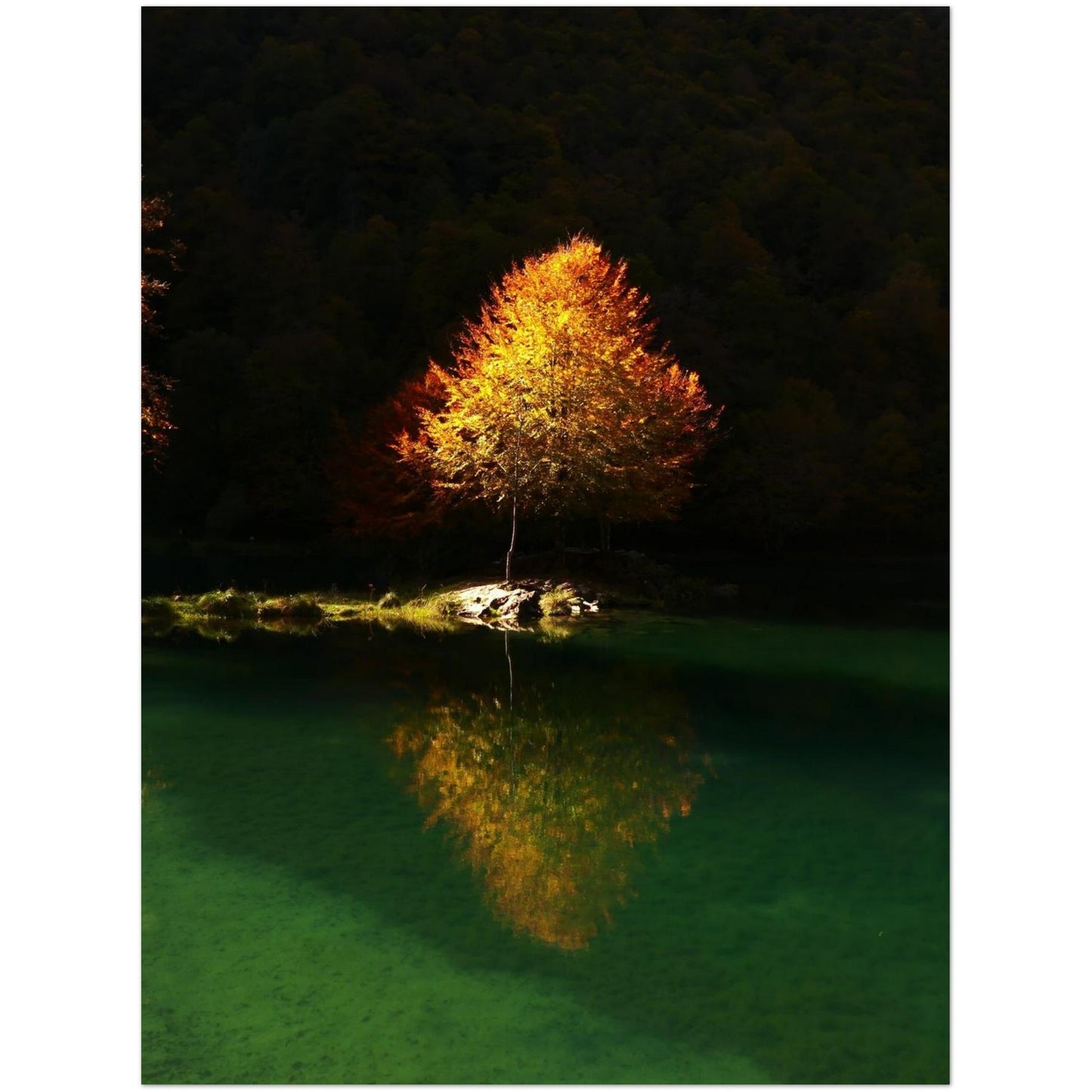 609af4f4-655c-4358-8233-e217ee1bf471