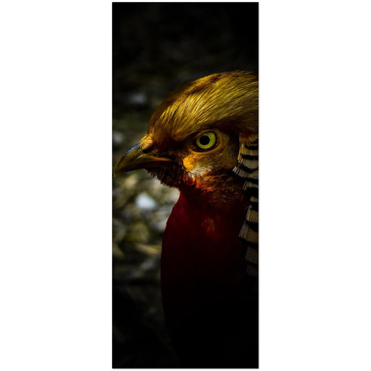 609b37ca-79e0-470b-924c-14b8a7ba81be