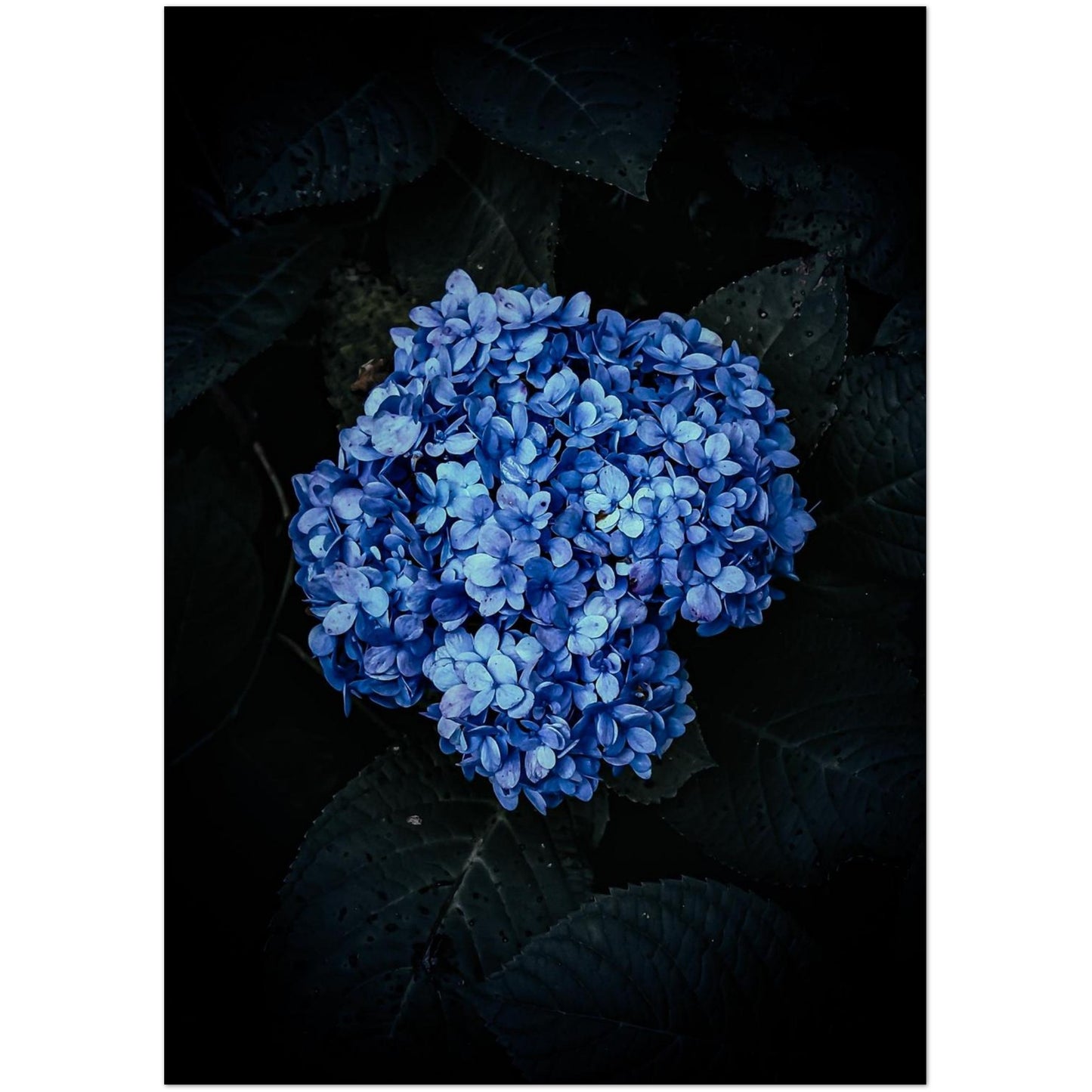 617c694b-4508-4085-8796-35a73d009a48