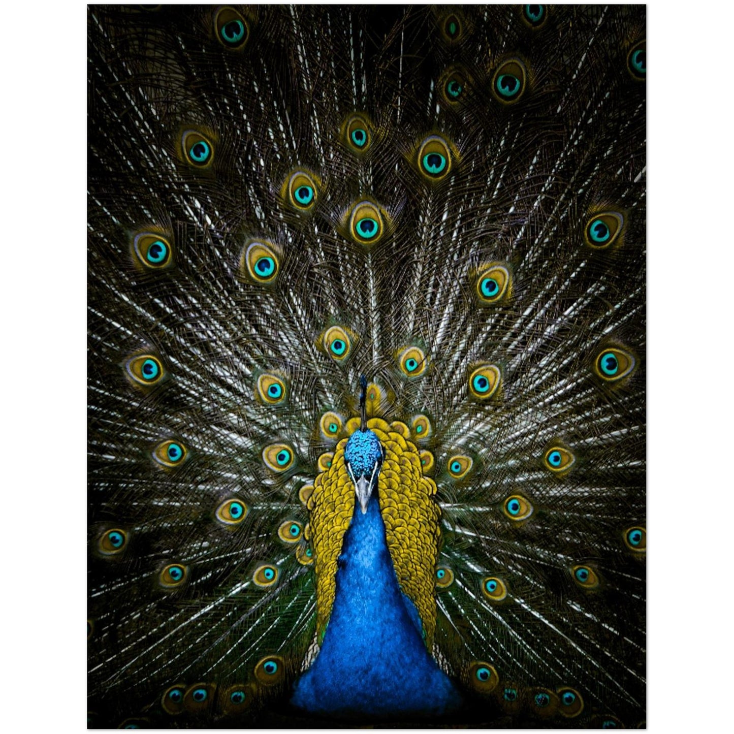 61a3e121-e110-4ef9-975c-fcb00112f74c