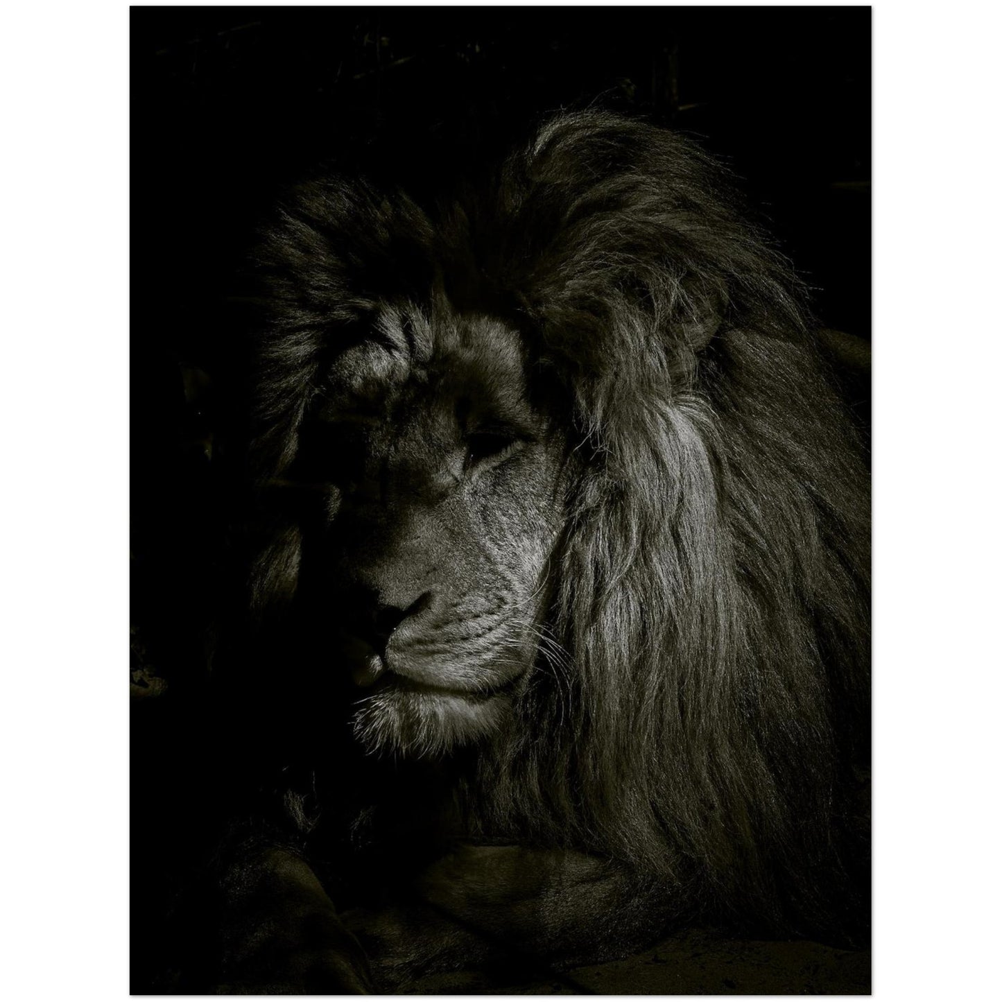 62868384-5f20-483b-8373-198e727596ea