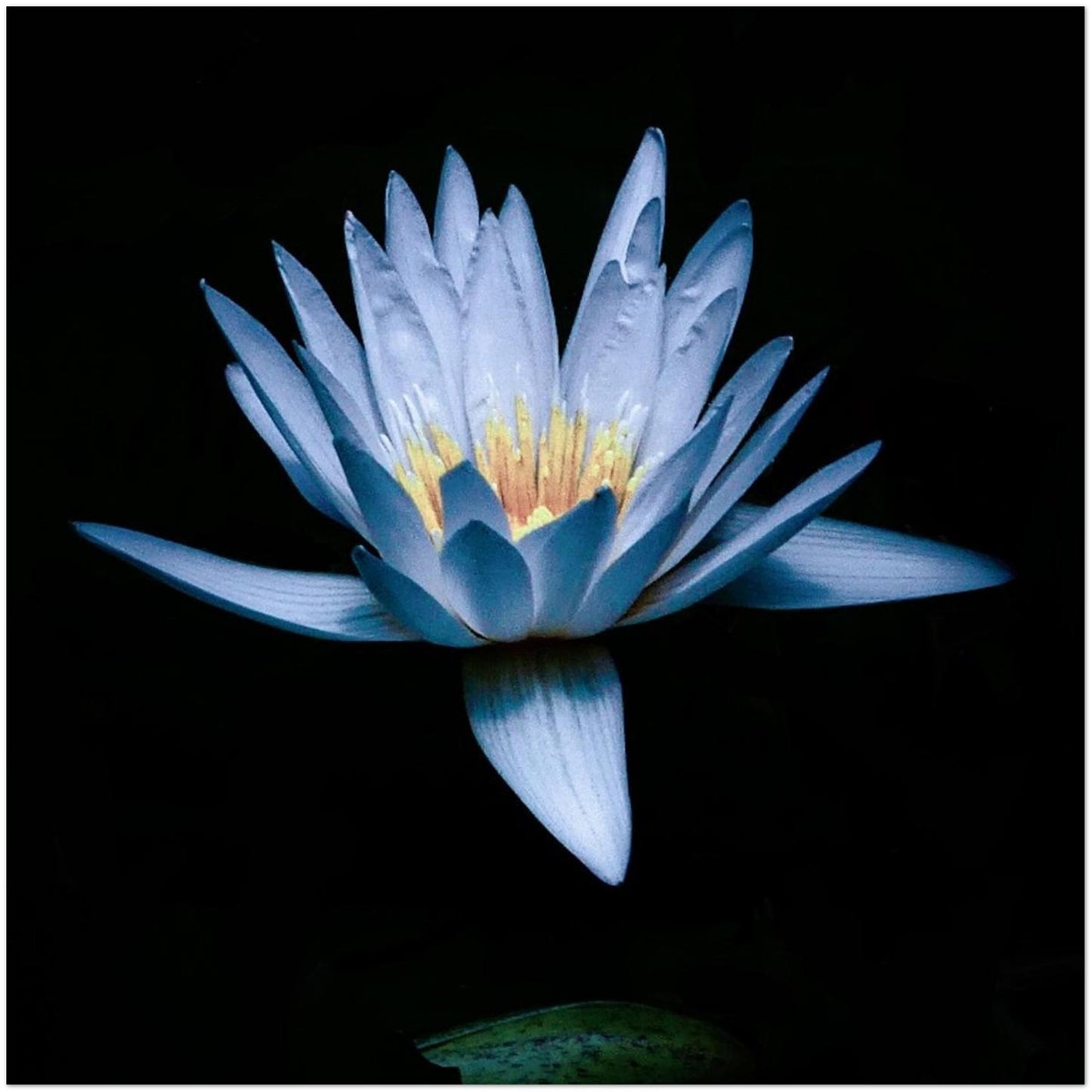 634abad6-694e-4349-841f-642ef6a1ba2a