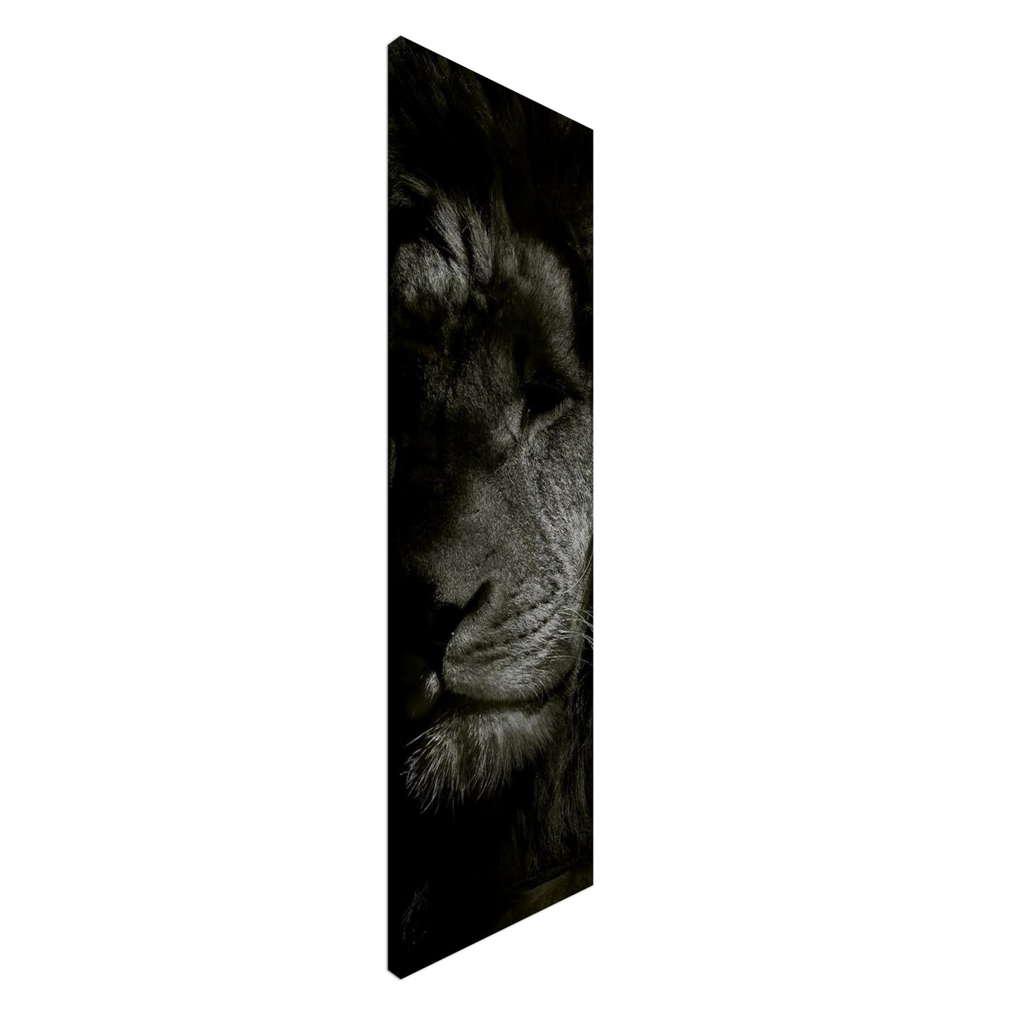 637508d0-fa2e-4124-a644-746d8a255222