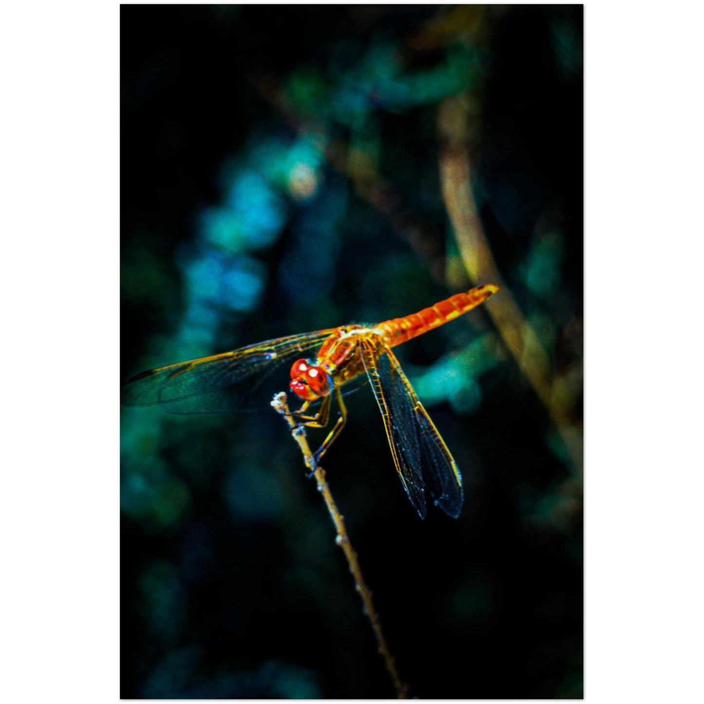 6542f3c2-bf7f-40e6-88eb-1a27629a02b4