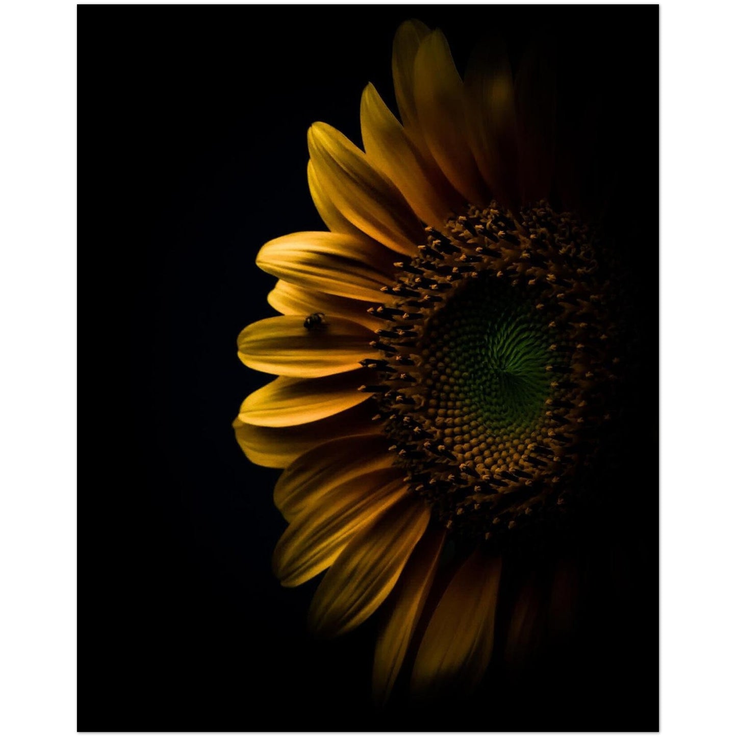 65ad8c0c-e462-43b7-aff5-26e5a2a512cf