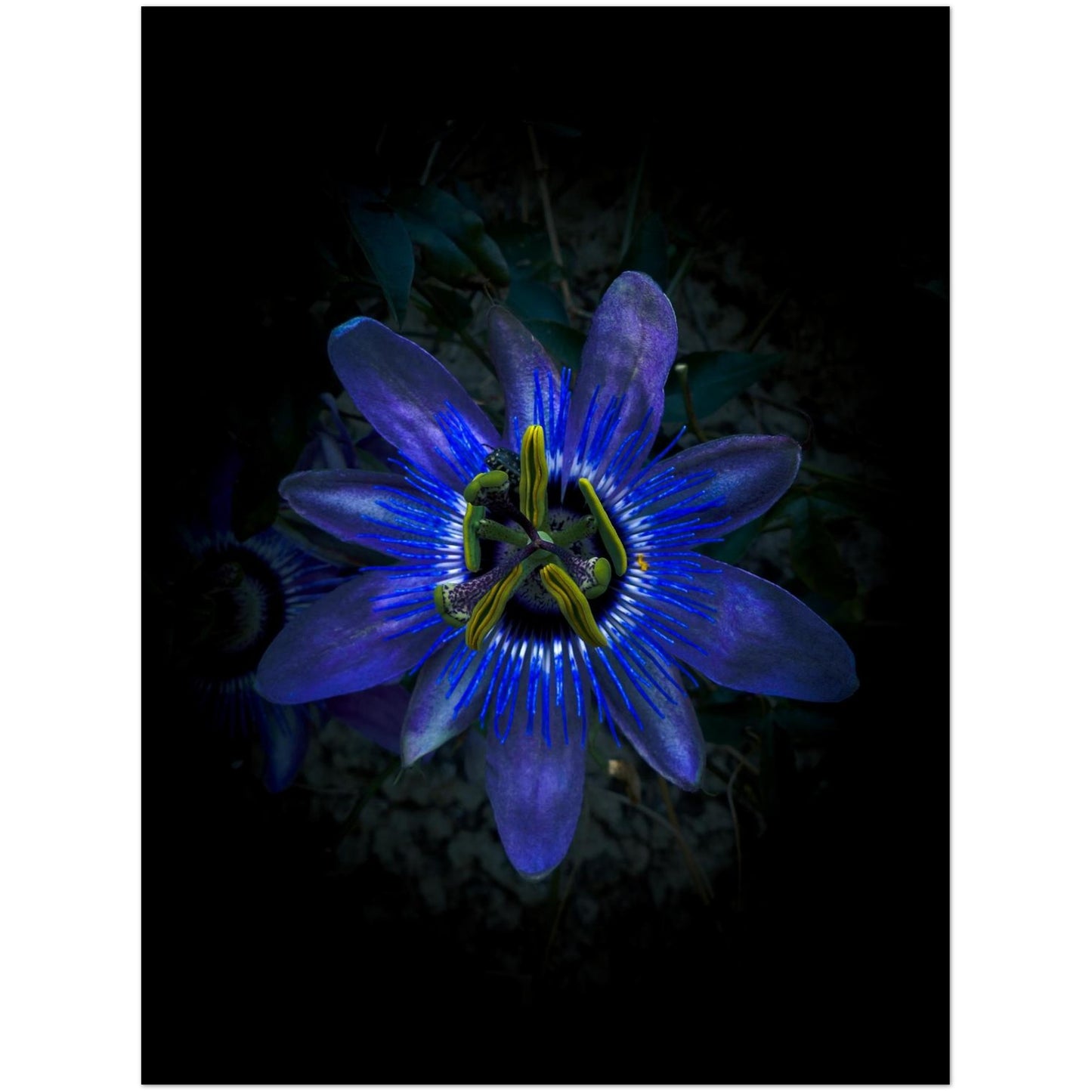 67573fab-fc51-45c7-bf3c-871429a5f1c4