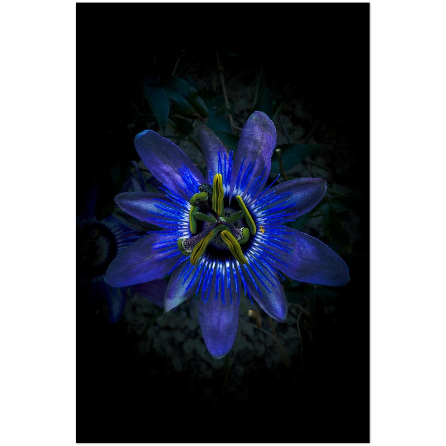 69e62eab-07ff-4e2d-91e4-f69a869a0808