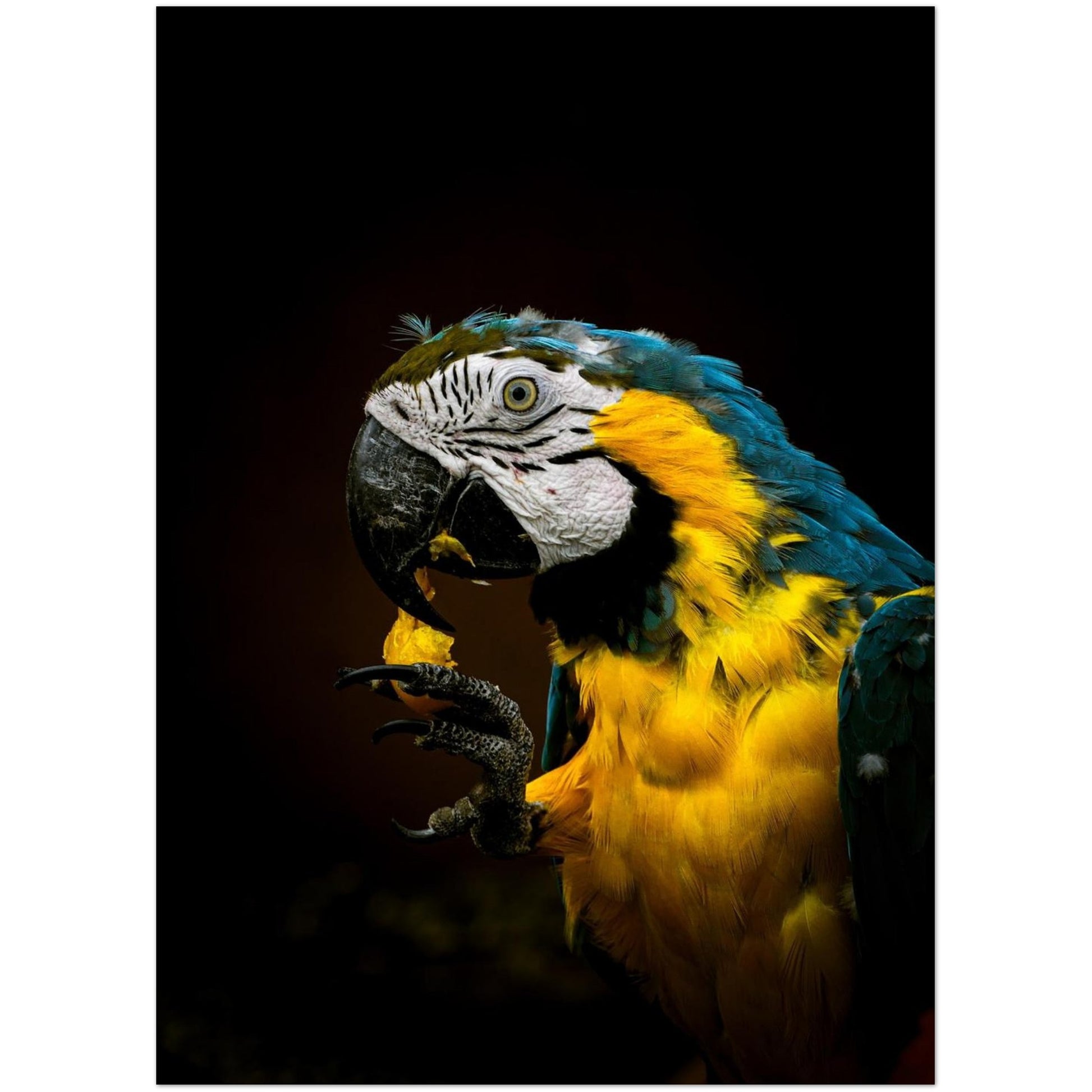 6a9588a9-c00e-4075-8571-7ce146cd76a0