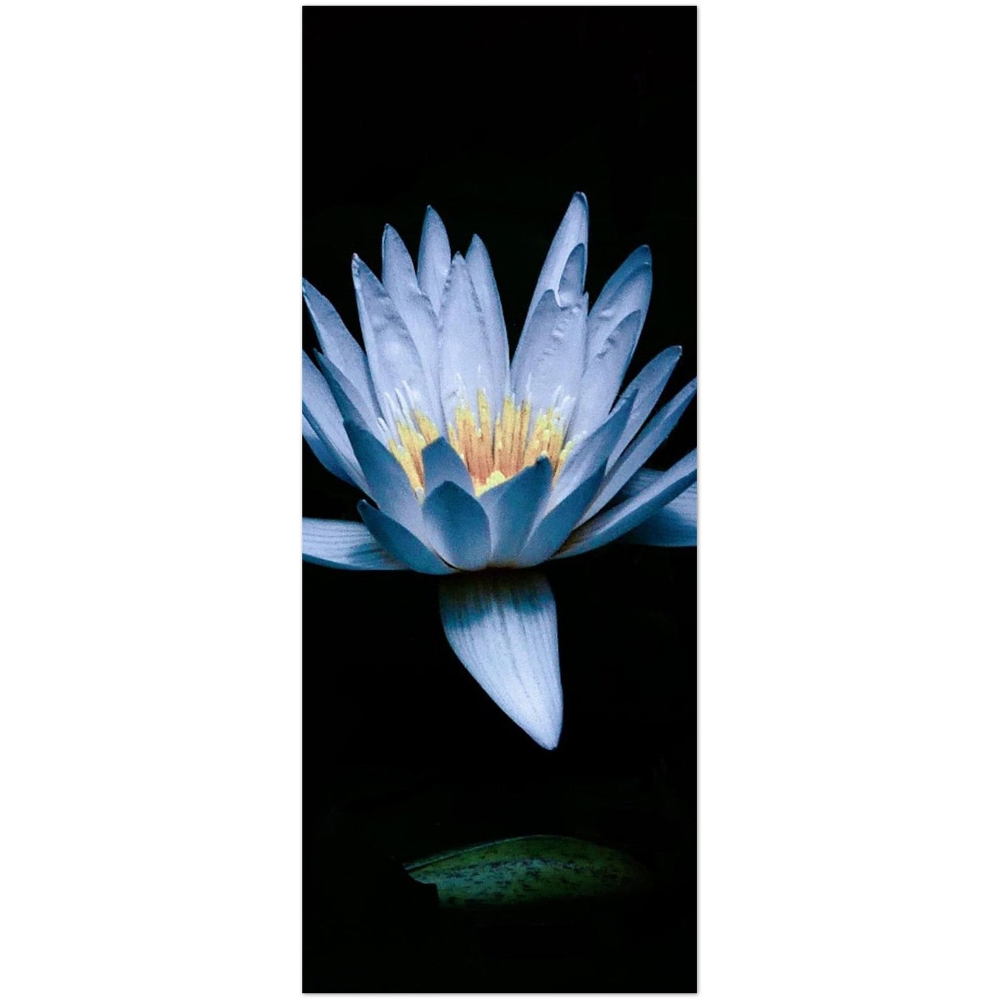 6b8db990-22e1-4b45-8658-fe2072e6c829