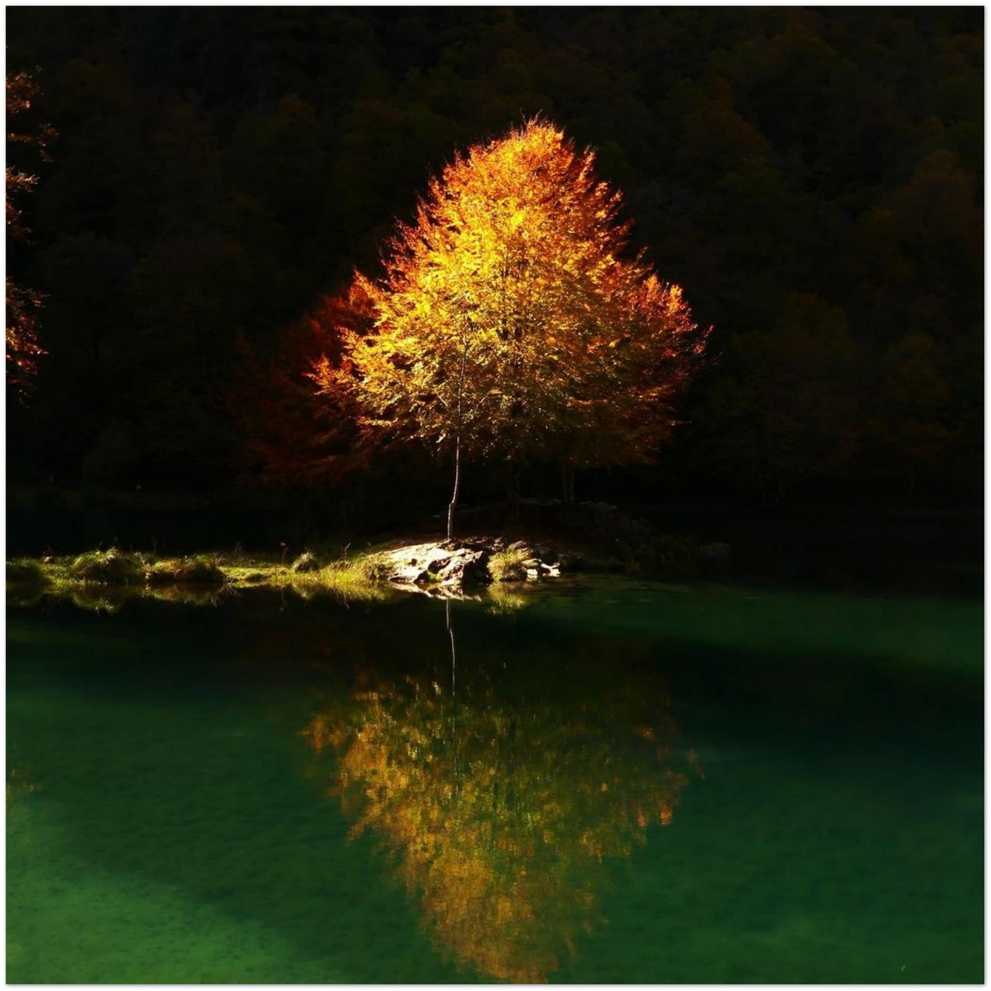 6bbecb74-38b3-4e77-8c5c-d969a23928a3