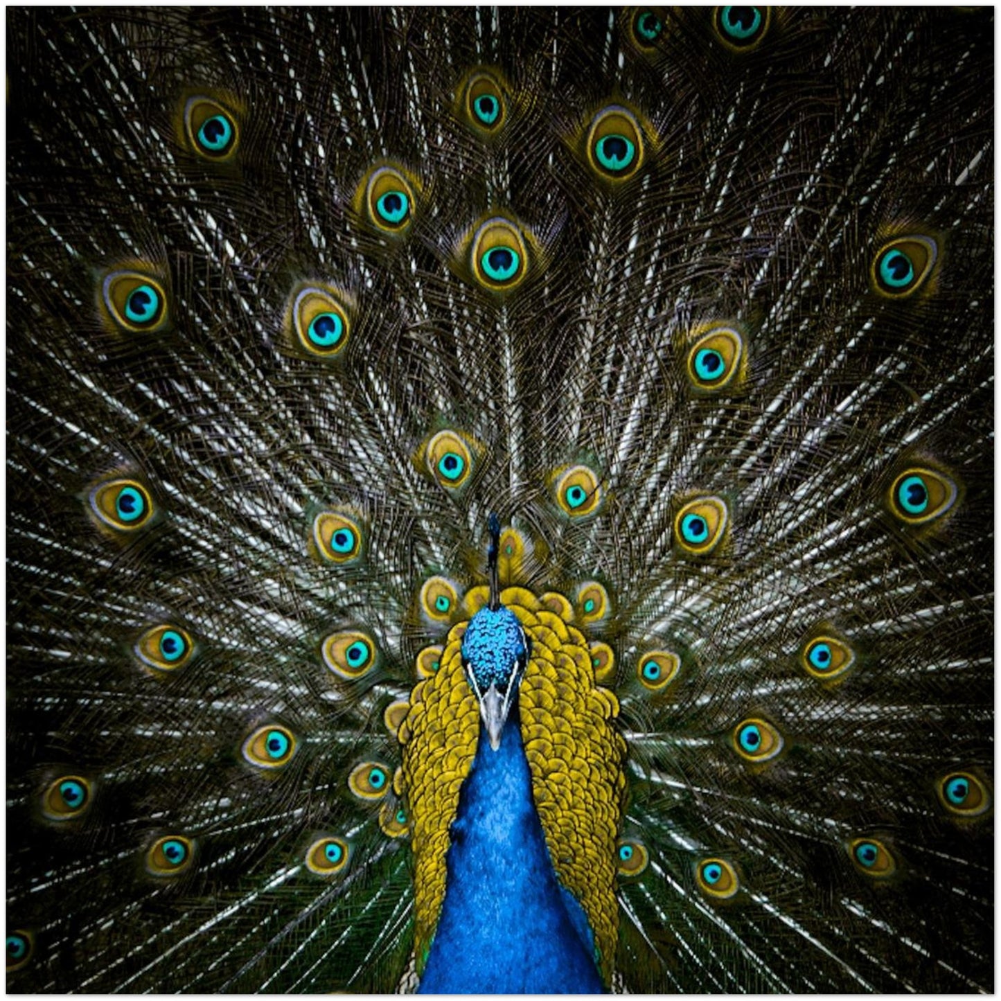 6c56d7e5-fd36-4b20-9a73-ac3aab043fae