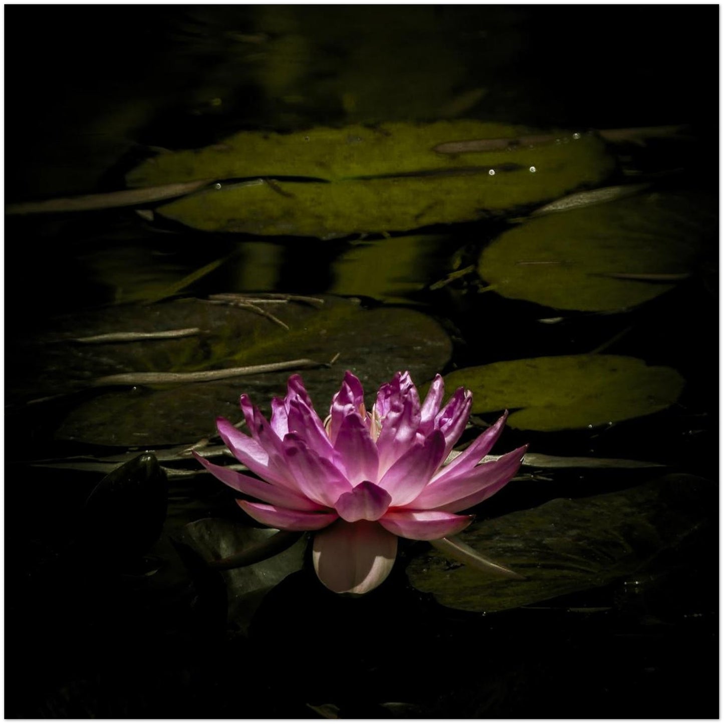 6cbb2eb5-d8f1-4dc4-8eb3-cb8602fe113a