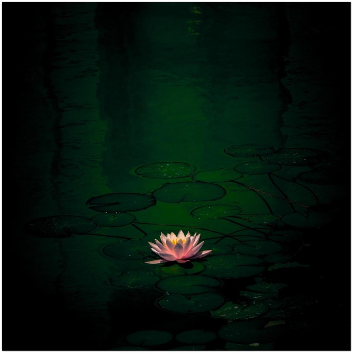 6d096e9a-98ae-46ab-adba-d793211da6cc