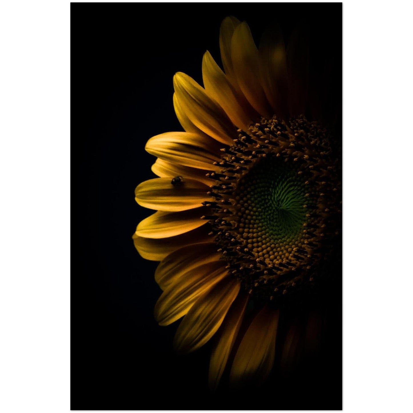 6d28085b-f371-4c73-aadc-c01d6250d556