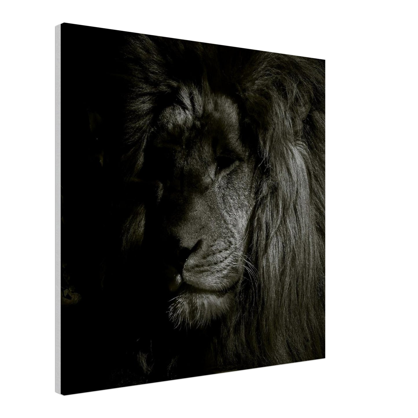 6d6a3db0-08e9-4909-a30e-c962d97ae079