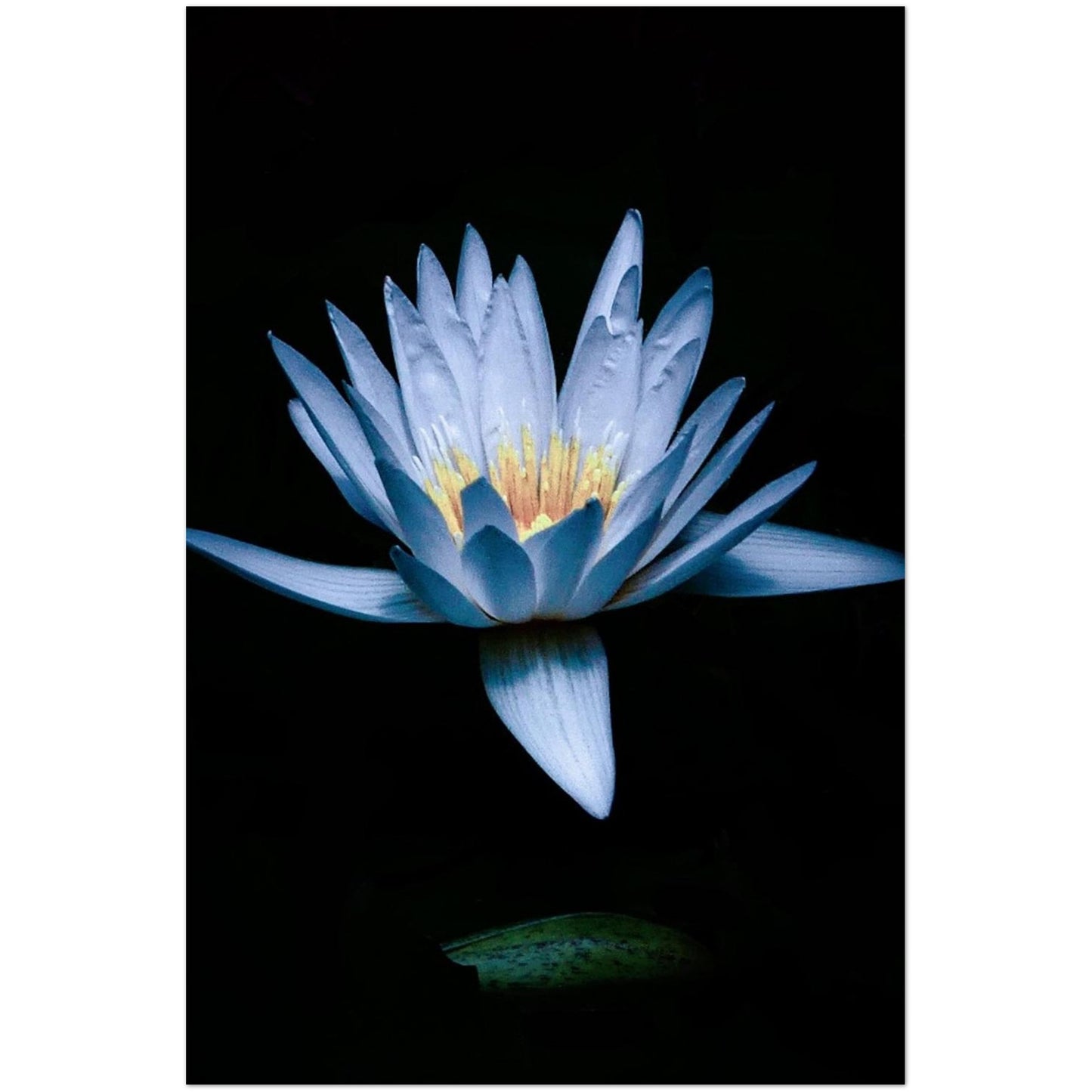 6d80517d-5803-4c2c-a8c9-2e91b0c44394