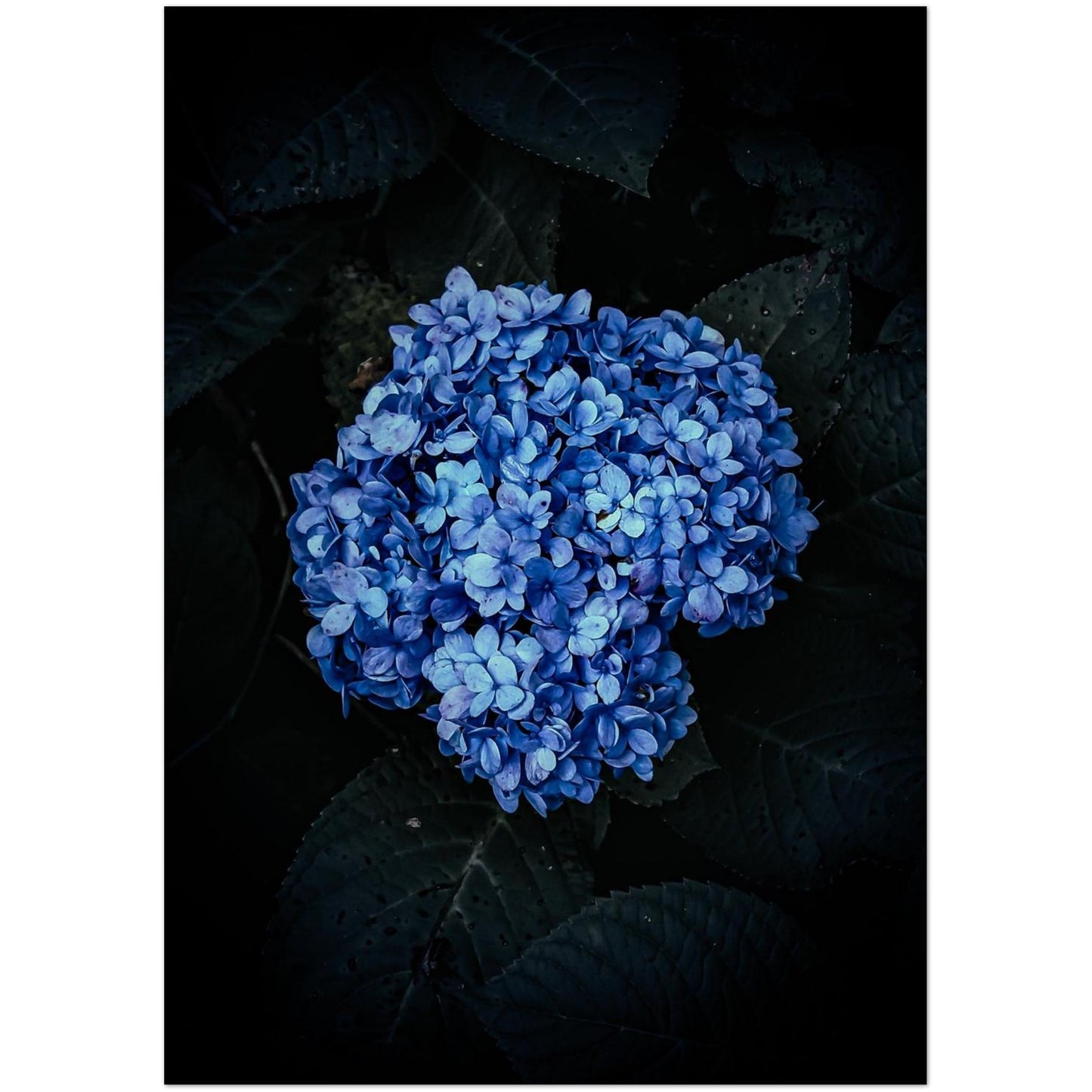 6f31d8db-19d0-48a1-9803-4ae59ee4f510