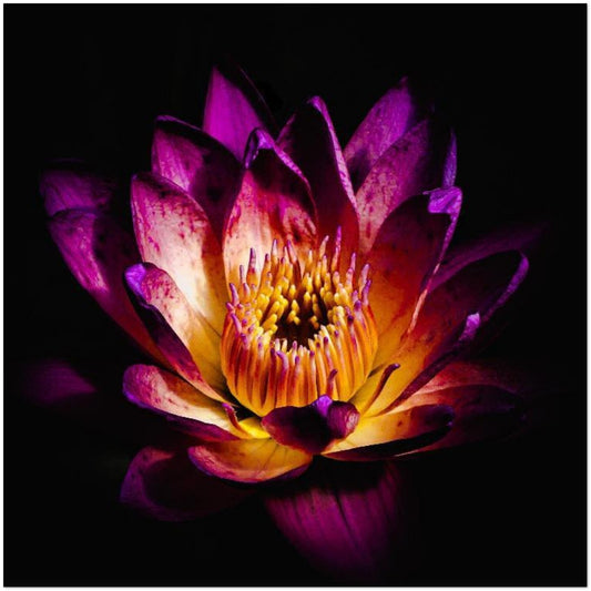 70304774-9e61-4d4a-80f8-2793902ce668