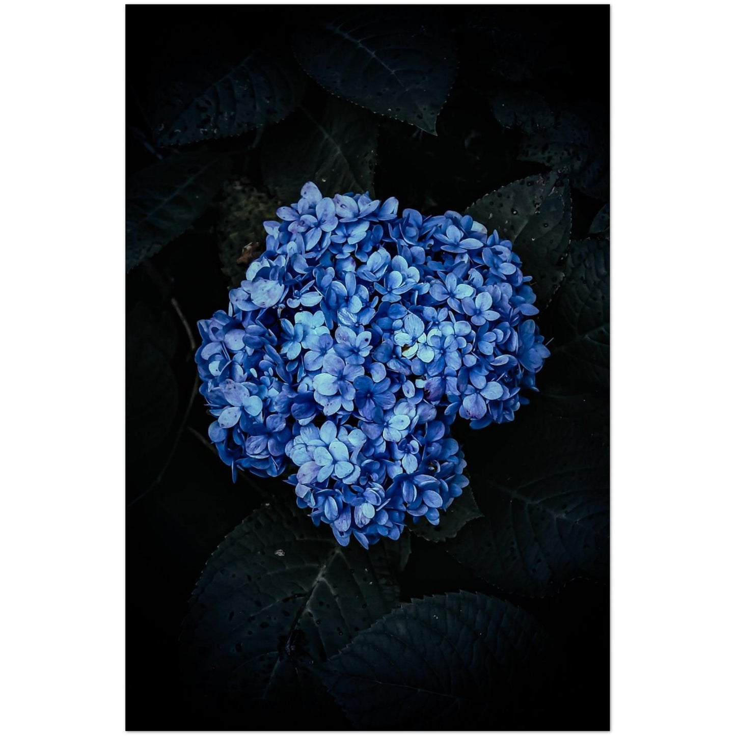 70710541-62b5-4183-b9d3-c3054679bebb