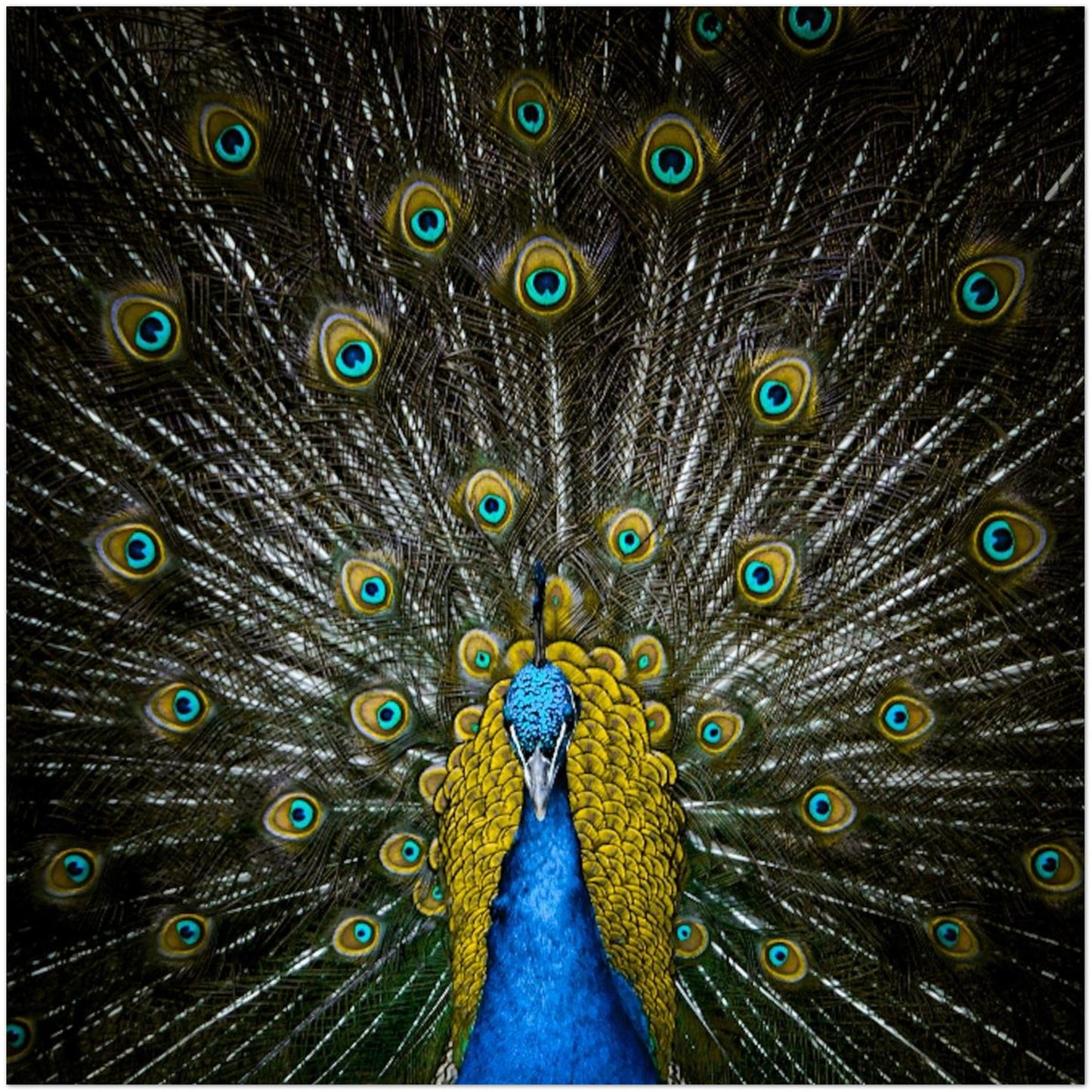 713d5ce2-e3d3-4999-9899-5e83d2f18634