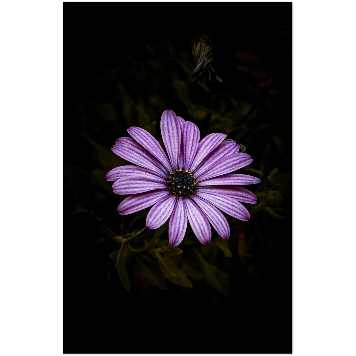 7159b011-18c0-4b97-aaf2-32273cc43fb5