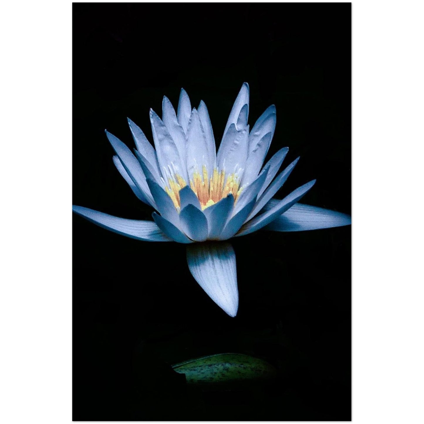 728a9d7a-4270-4fa7-81c2-446ad1cd0998