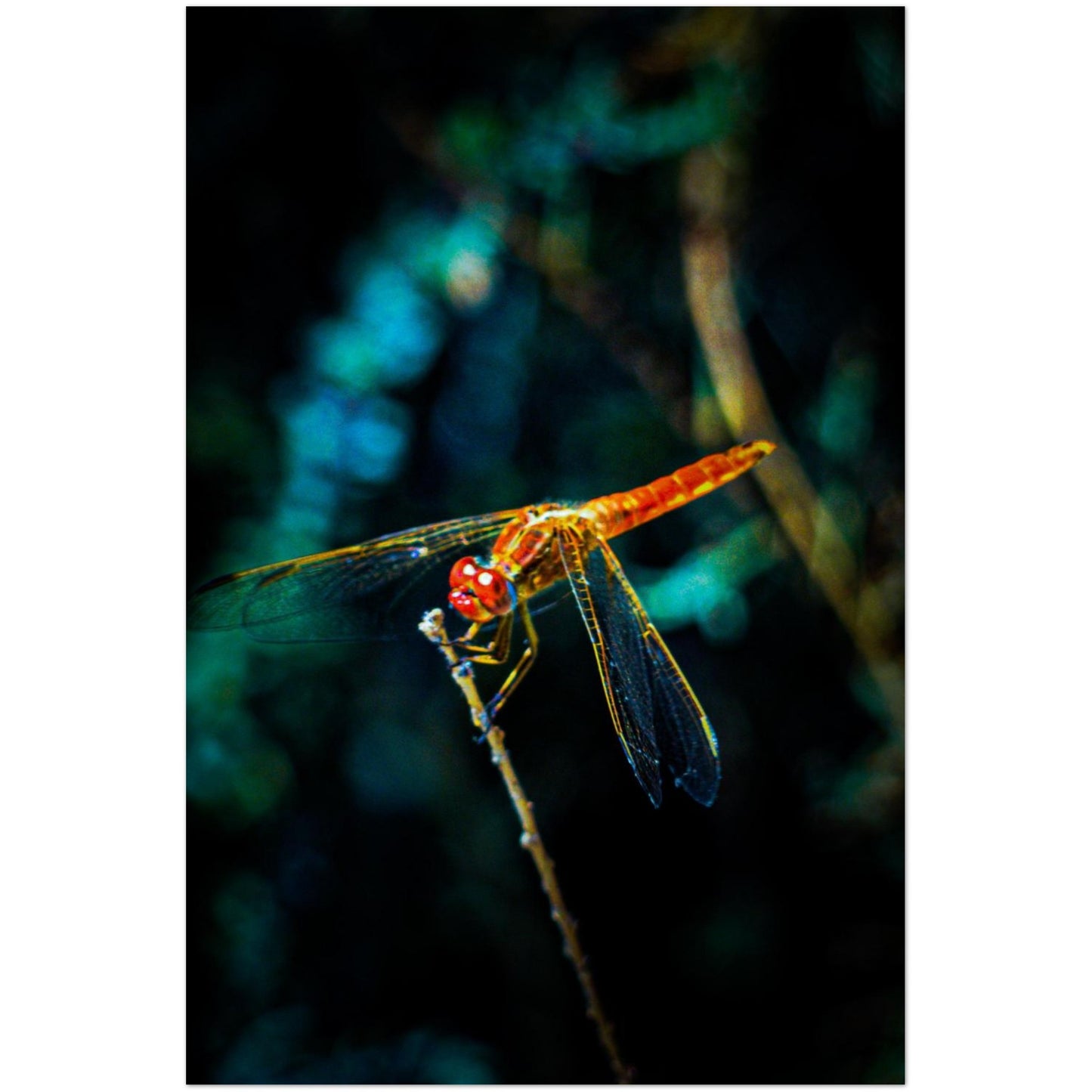 72c65f42-1cf4-4442-b1d9-2e1d82ecb6bd