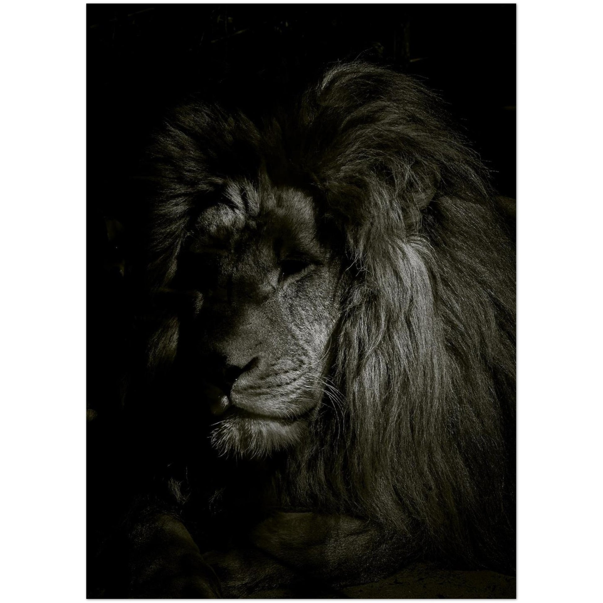 742134b6-29b2-44c8-844a-5c9bc35c85f4