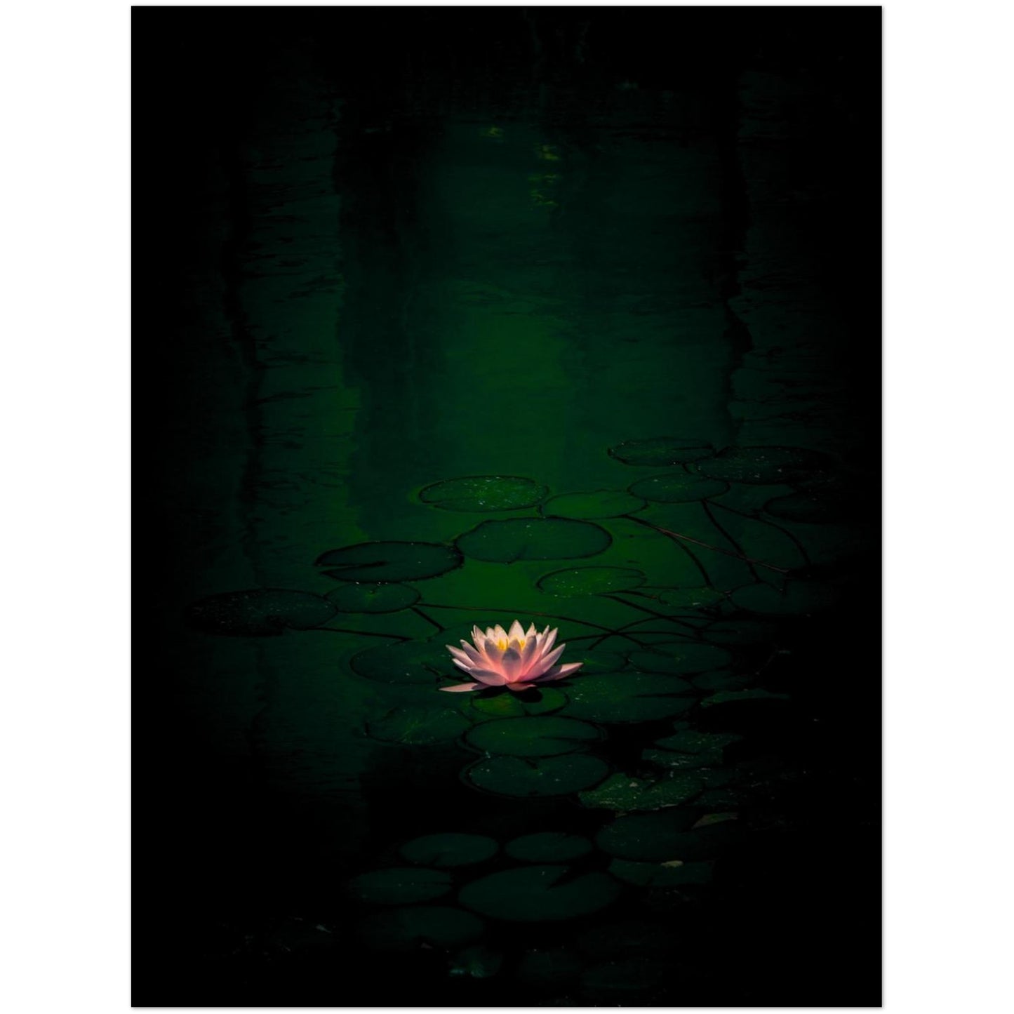 76099493-32d6-4132-becb-9fe598faa284