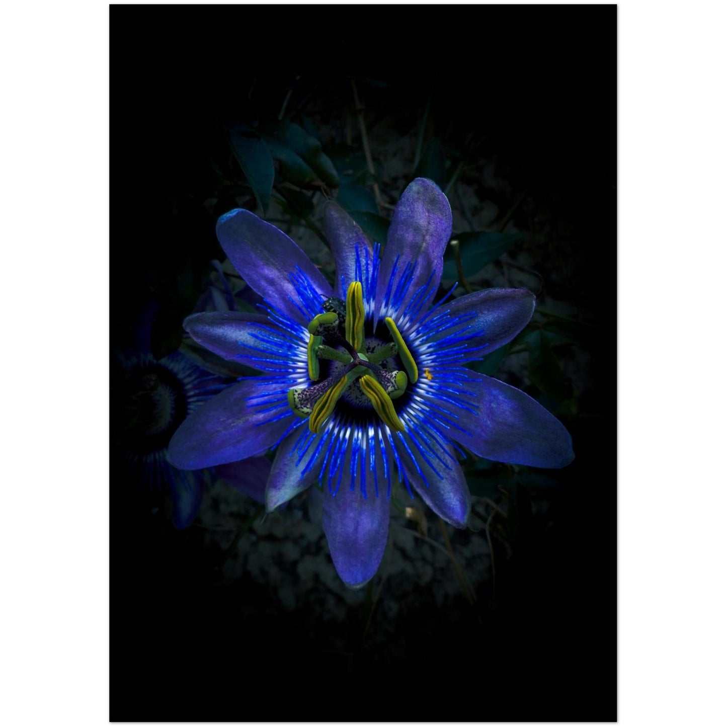 786a73c2-fa33-4ba1-aa6f-ae9558107a8c