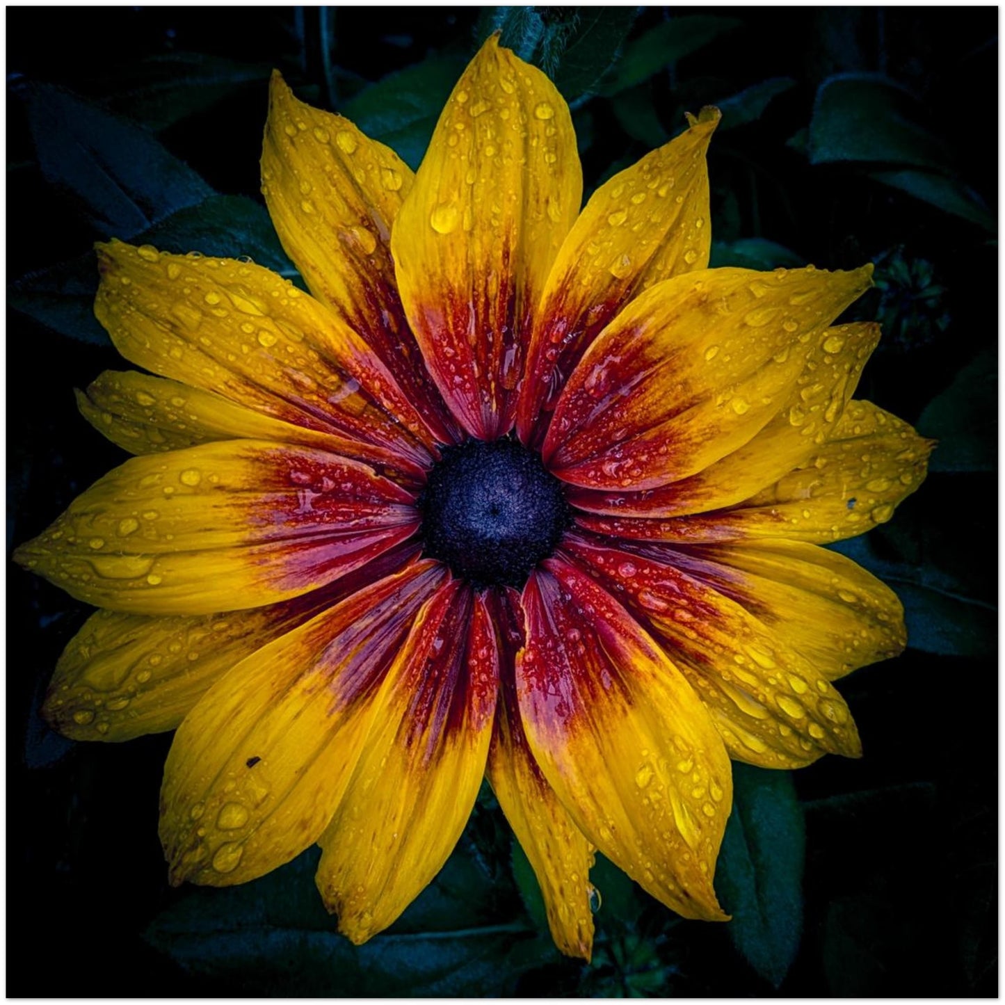 787b82c8-8139-4e49-8b26-995b7d5d1dcd