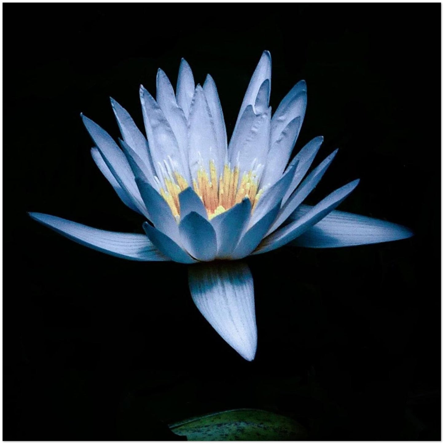 7896c336-dcd6-4db5-869e-7aea88747ef7