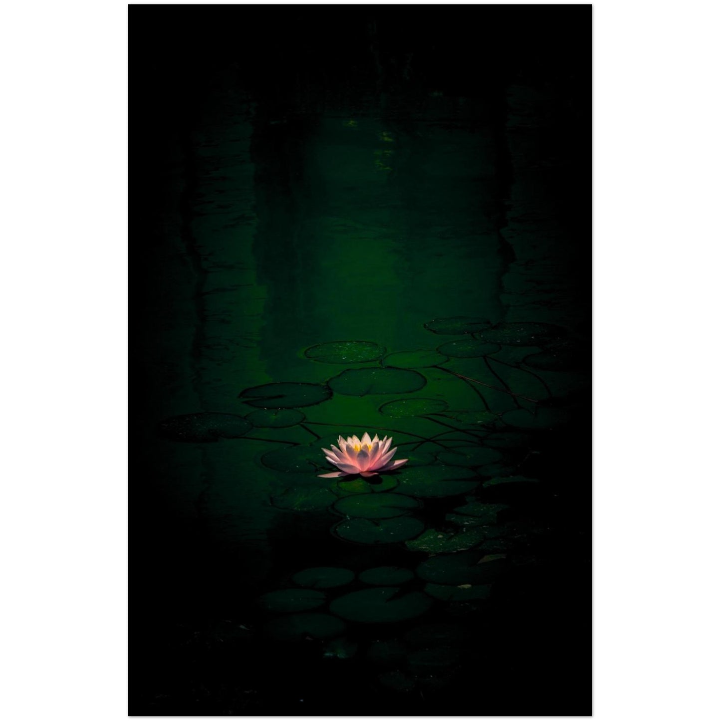 78c296ed-3894-4a4b-af74-bca3593b531e