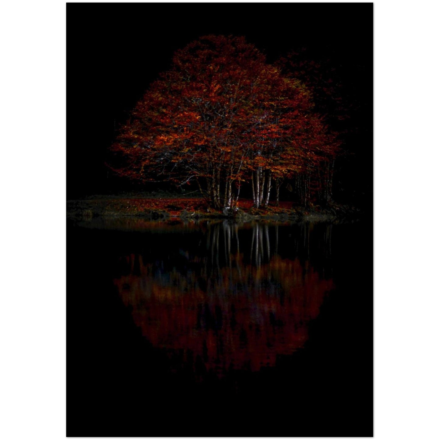 7a72abd9-1022-4469-9121-dd5578022267